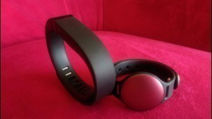 'PixieFit Review: Fitbit Flex vs. Misfit Shine | QFTPC'