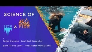 'From the Great Barrier Reef to Antarctica  |  Adventures in Photography and Science'