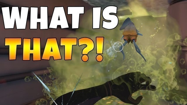 'SO MUCH FOOD... SO MANY ITEMS!... SO MANY WEIRD ALIEN THINGS? | Subnautica - Episode 7'