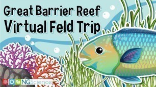 'Great Barrier Reef – Virtual Feld Trip'