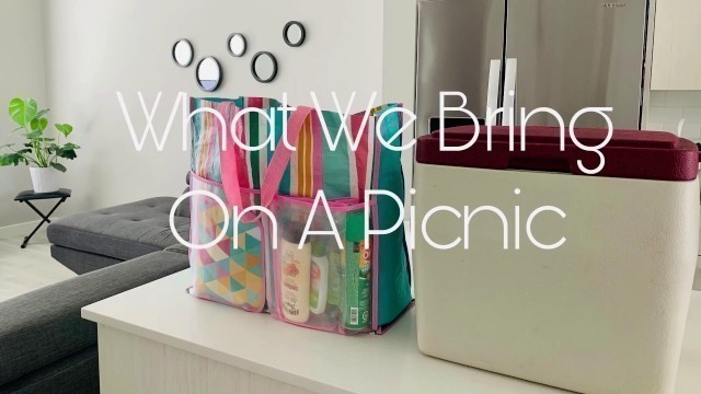 'What to Bring on a Picnic | Picnic Ideas 2020 | Life Simplified | Minimalist Picnic'