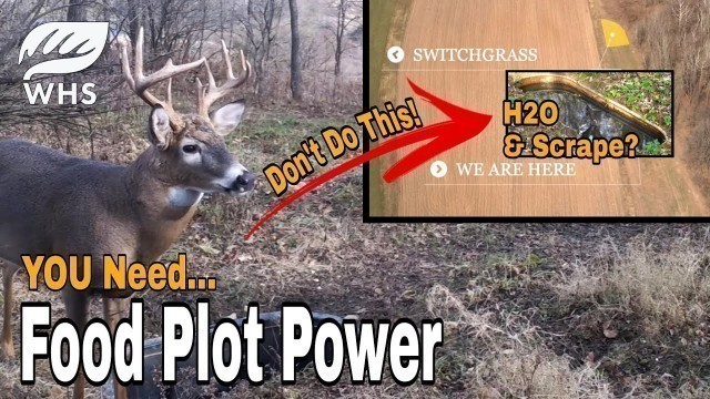 'PURE Food Plot Strategy is BEST'