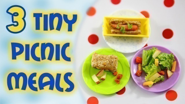 '3 Tiny Picnic Meals | For Hamsters'