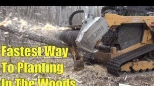 'Creating Food Plots in the Woods With a Strategy for Seeing More Deer'