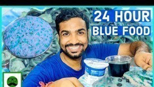 'BLUE FOOD CHALLENGE for 24 hour | BAHUT MUSHKIL 