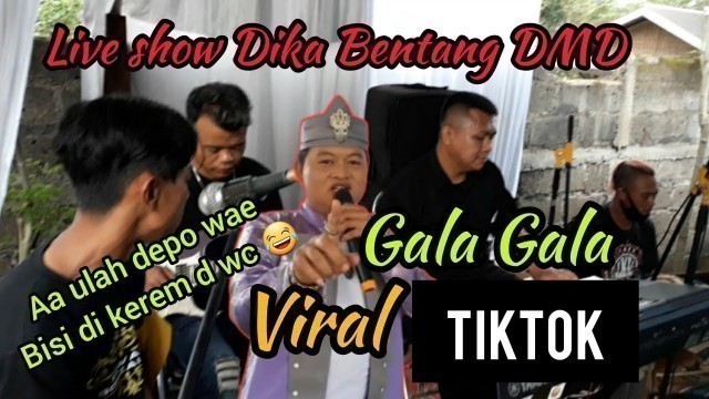 'GALA GALA-VIRAL TIKTOK