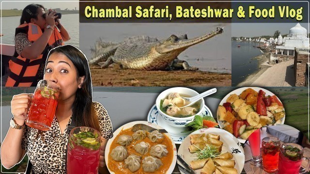 'Adventurous Day in Agra | Food Vlog, Chambal Wildlife Safari, Bateshwar Temple | Up Food Series Ep-5'