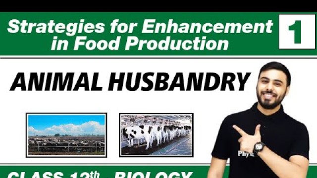 'Strategies for Enhancement in Food Production 01- Animal Husbandry | Class 12 NCERT'