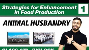 'Strategies for Enhancement in Food Production 01- Animal Husbandry | Class 12 NCERT'