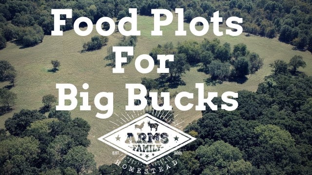 'My Food Plot Strategy for Holding BIG Bucks!'