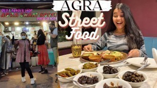 'Must try Street food in AGRA | Food Vlog | Places to eat in Agra Best Indian Street Food'