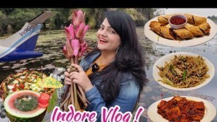 'Unplanned Trip to Indore | Food Vlog'