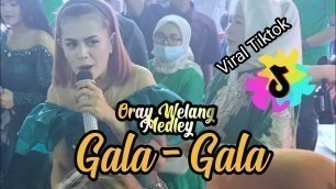 'Oray Welang terbaru medley GALA GALA - ADE ASTRID ft Novi bude & Eva Live Cibodas Hajatan Maju Jaya'