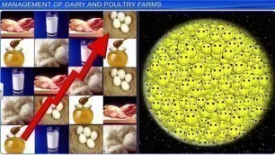 'CBSE Class 12 Biology || Strategies for Enhancement In Food Production || Full Chapter || By Shiksha'