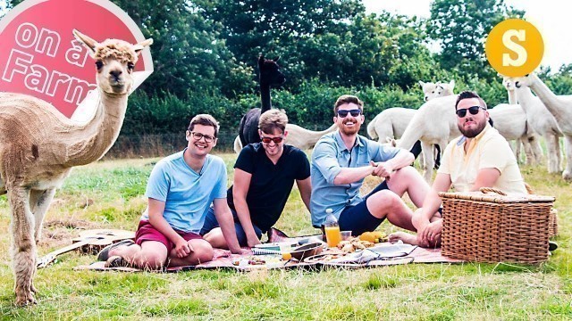 'Perfect Alpaca Picnic: Out of the City'