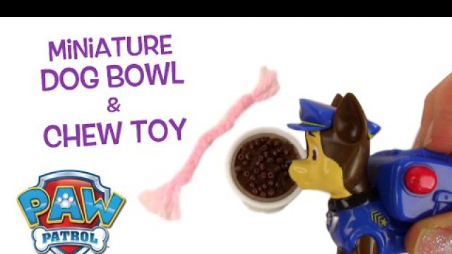 'Miniature Dog  Food Bowl and Toy for Chase from Paw Patrol DIY Tutorial'