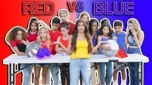 'RED FOOD VS BLUE FOOD CHALLENGE | Vibe Crew'