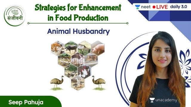 'Animal Husbandry | Strategies for Enhancement in Food Production | L1 | NEET 2022/23 | Seep Pahuja'