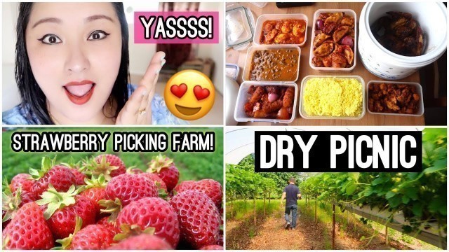 'Fun Day at the Strawberry Picking Farm | Delicious Nepali Food for Picnic! - Day #128'