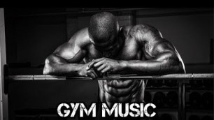 'TOP 10 Workout SONGS 2017 - BEST GYM Music Mix !'