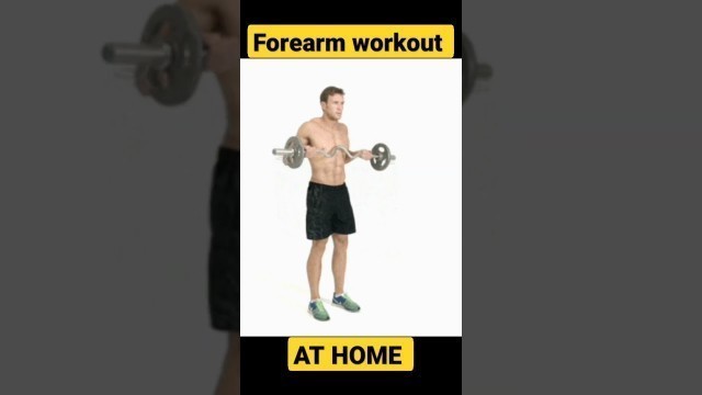 'Forearm workout in dumbbells 