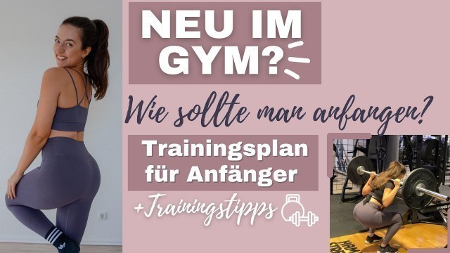 'TRAININGSPLAN FÜR ANFÄNGER - Wie und mit welchen Übungen sollte man starten? I BEGINNERS GUIDE'