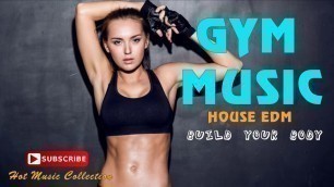 'Best Gym Music Playlist -  Pop & EDM Workout Songs 2017'