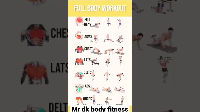 'weight loss, arms, chest, lats, delts, abs, quads, full body workout| home workout #shorts #fitnes'