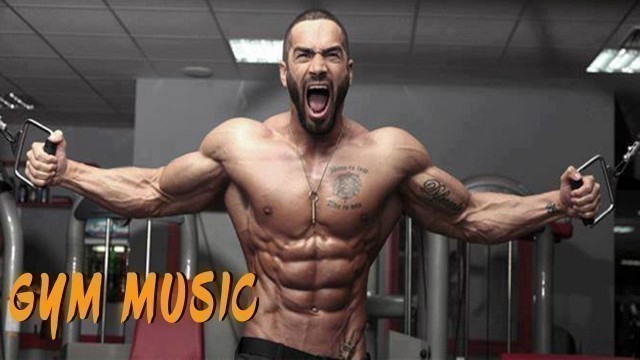 'Best Gym Workout Music Mix 2017 - Svet Fit Music'