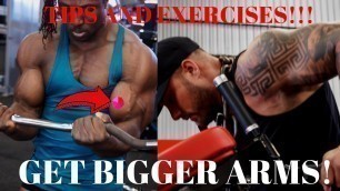 '6 SIMPLE EXERCISES TO GET BIGGER ARMS FAST! |FT. Zac Smith Fitness'