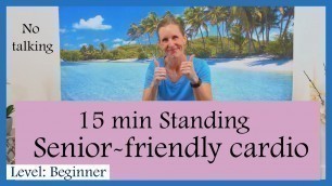 '15-minute Senior-friendly Standing Workout / Low Impact & Easy on the Joints'