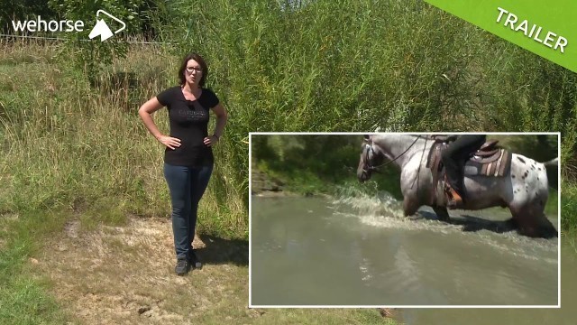 'Wie Aqua-Fitness die Gesundheit deines Pferdes fördert | Katrin Obst'