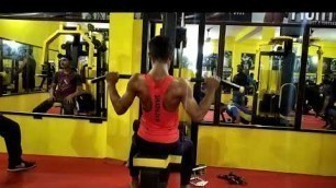 'Back workout in the gym fitness star 