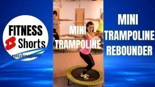 'Mini Trampoline Rebounder Senior Workout #pauleugene  #minitrampoline #seniorfitness'