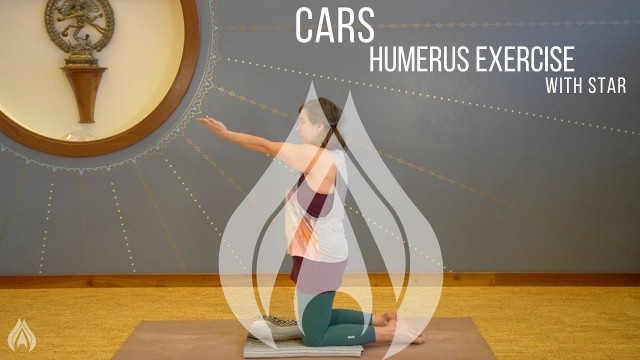 'CARs: Humerus Exercise'