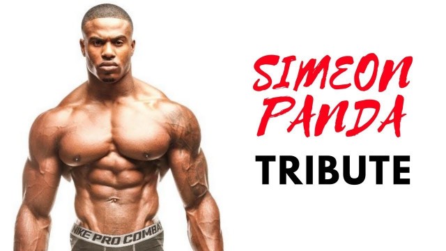 'SIMEON PANDA TRIBUTE | JP FITNESS AESTHETICS'