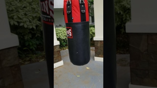 'PUNCHING BAG IN CONDO #shorts'