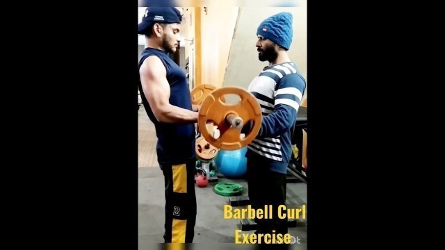 'How to do Barbell Curl Exercise'