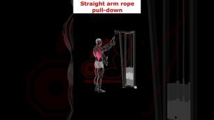 'Straight Arm Rope Pull Down For Beginners'