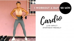 'Low Impact Cardio With One Weight - Apartment Friendly Cardio Workout HIIT Tabata Style'