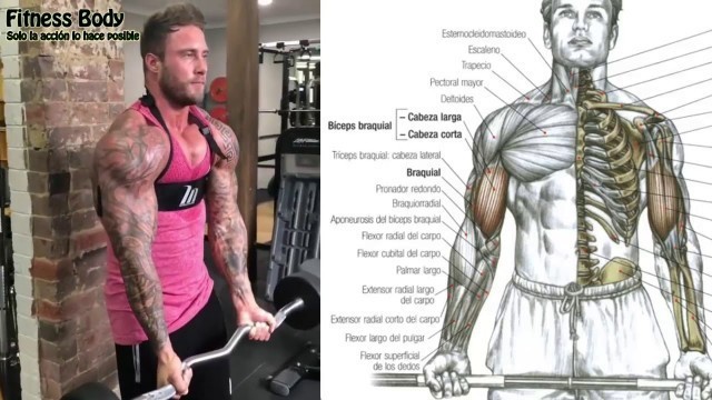 'Arm Workout  Triceps and Biceps  Zac Smith'