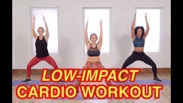 'Low-Impact Cardio workout - Perfect for beginners too !!! #0024'