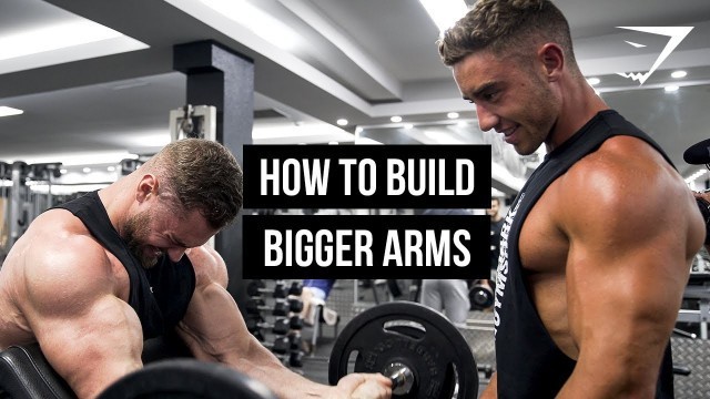 'Chris Bumstead + Zac Perna Train Biceps And Triceps To Build Size | Gymshark'