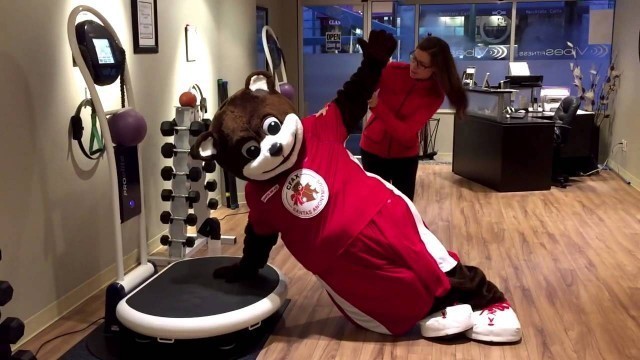 'Santa Bear Vibes Fitness'