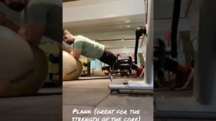 'Plank || #plank #coreworkout #shortsvideo #youtubeshorts #fitnessaddict #gymshark #fitfam'