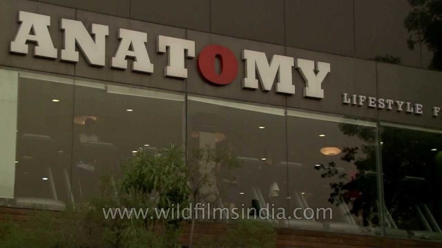 'Anatomy lifestyle fitness in Yusuf Sarai, New Delhi'