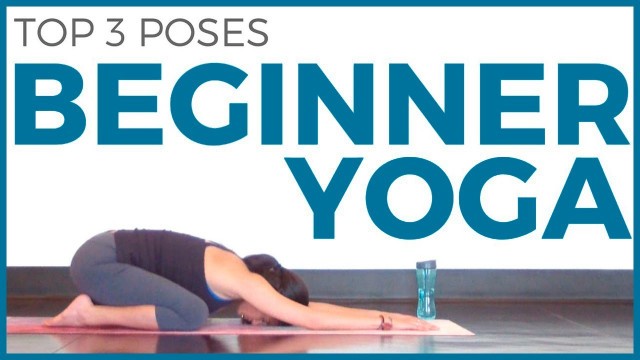 'Yoga for Beginners 