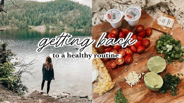 'Getting Back Into A Healthy Routine | Gym, Meals, Cleaning, Errands Vlog'