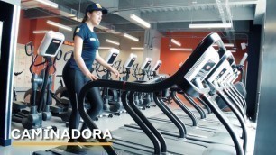 'Ejercicio de cardio - Banda Caminadora'