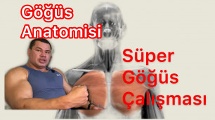 'Göğüs Anatomisi Göğüs Büyütme'